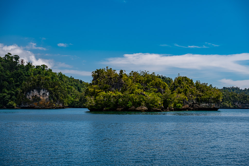 Low jungle islet in front of a forested coast under blue sky, Waigeo, Raja Ampat, Indonesia