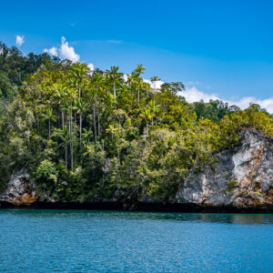Palm-studded karst island with pale rock face in blue water, Waigeo, Raja Ampat, Indonesia