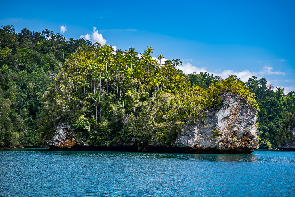 Palm-studded karst island with pale rock face in blue water, Waigeo, Raja Ampat, Indonesia