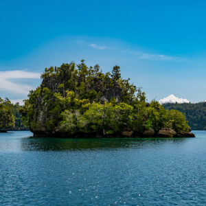Rounded islet with dense vegetation beside a channel under blue sky, Waigeo, Raja Ampat, Indonesia