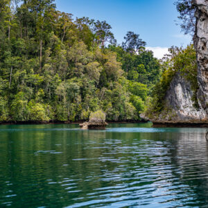 Narrow passage between an overhanging white cliff and jungle, Waigeo, Raja Ampat, Indonesia