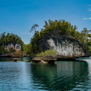 Mushroom islets with undercut white cliffs in a calm lagoon, Waigeo, Raja Ampat, Indonesia