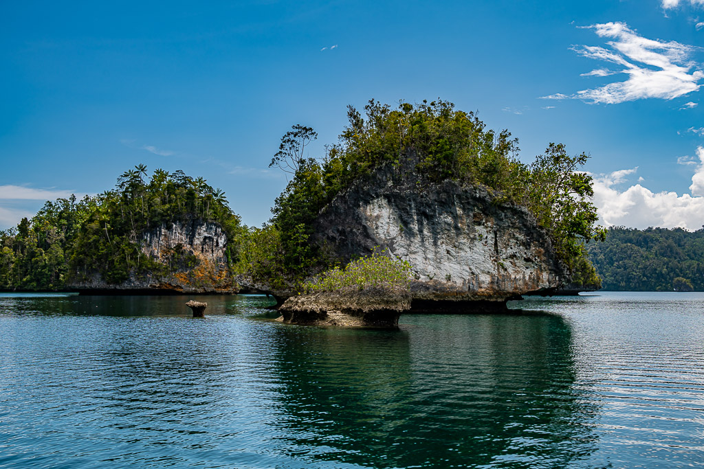 Mushroom islets with undercut white cliffs in a calm lagoon, Waigeo, Raja Ampat, Indonesia