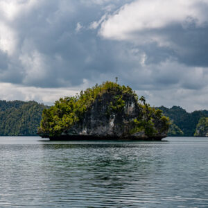 Small undercut islet in a calm bay under overcast sky, Waigeo, Raja Ampat, Indonesia