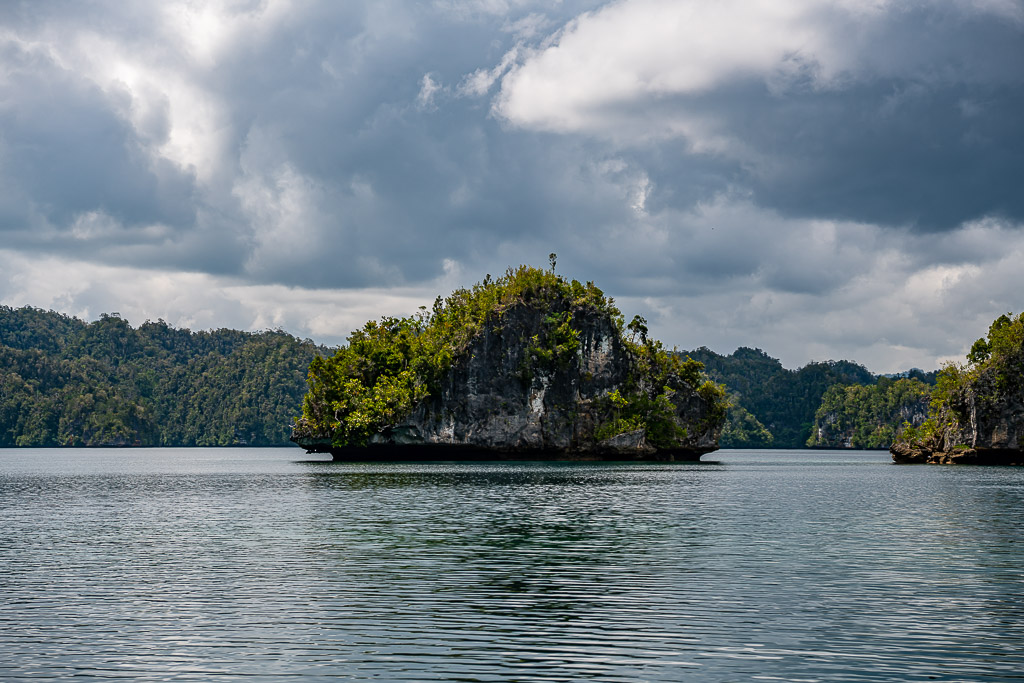 Small undercut islet in a calm bay under overcast sky, Waigeo, Raja Ampat, Indonesia