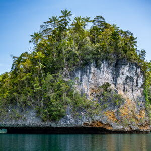 Tall limestone cliff topped with palm trees, low angle under blue sky, Waigeo, Raja Ampat, Indonesia