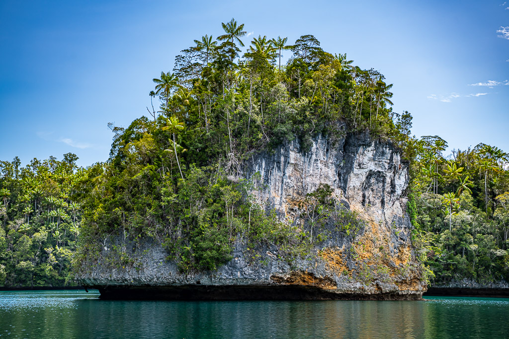 Tall limestone cliff topped with palm trees, low angle under blue sky, Waigeo, Raja Ampat, Indonesia