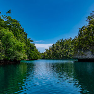 Calm emerald channel between jungle-covered cliffs, symmetrical view, Waigeo, Raja Ampat, Indonesia