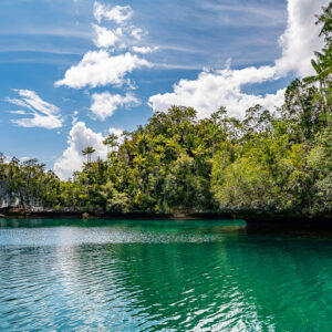 Sunlit turquoise lagoon edged by jungle and small islets, Waigeo, Raja Ampat, Indonesia