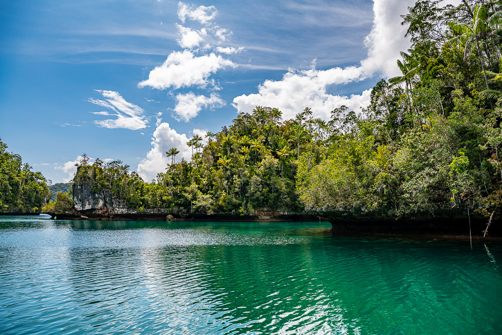 Sunlit turquoise lagoon edged by jungle and small islets, Waigeo, Raja Ampat, Indonesia