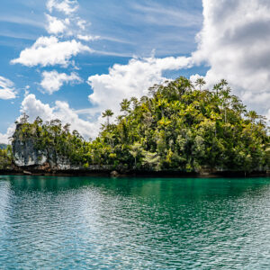 Jungle islet with pale cliff under cumulus over emerald water, Waigeo, Raja Ampat, Indonesia
