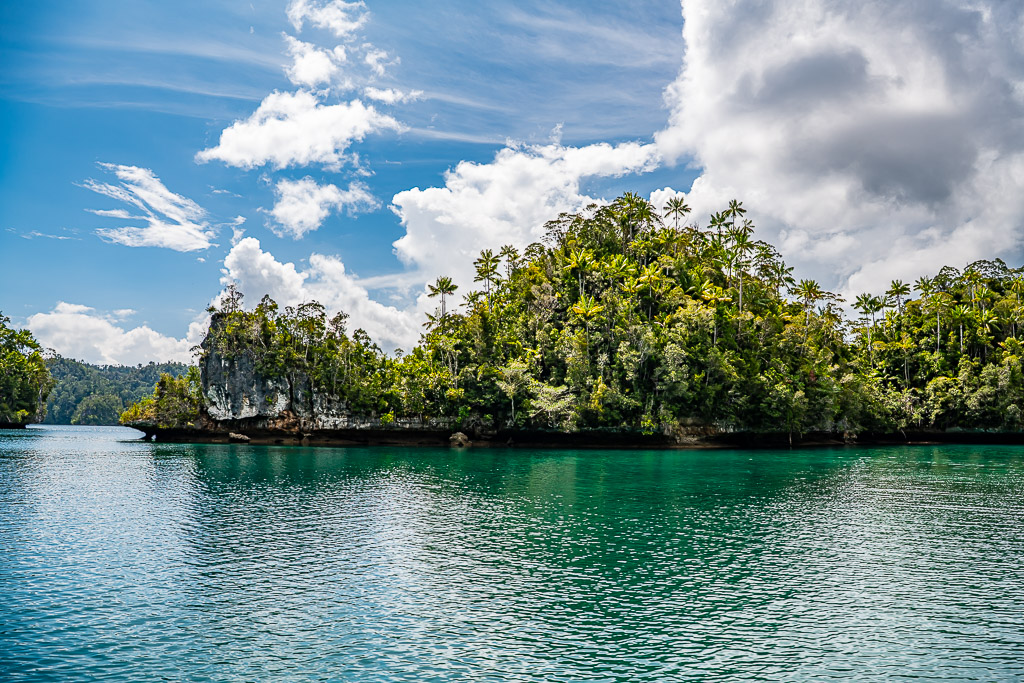 Jungle islet with pale cliff under cumulus over emerald water, Waigeo, Raja Ampat, Indonesia