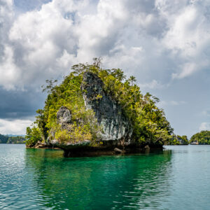 Vue verticale d’un petit îlot karstique arrondi se reflétant dans une eau verte, Waigeo, Raja Ampat, Indonésie