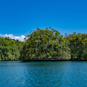 Long forested limestone island under a deep blue sky, Waigeo, Raja Ampat, Indonesia