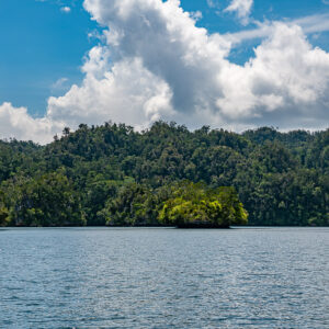Forested hills and a small islet across a calm bay with cumulus, Waigeo, Raja Ampat, Indonesia