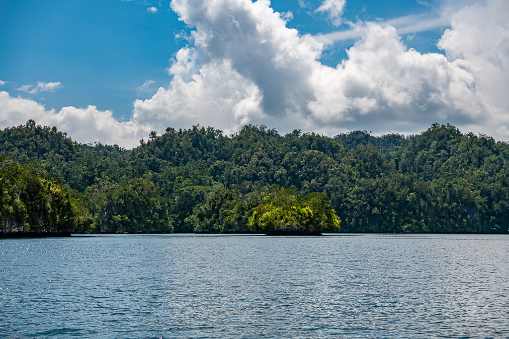 Forested hills and a small islet across a calm bay with cumulus, Waigeo, Raja Ampat, Indonesia