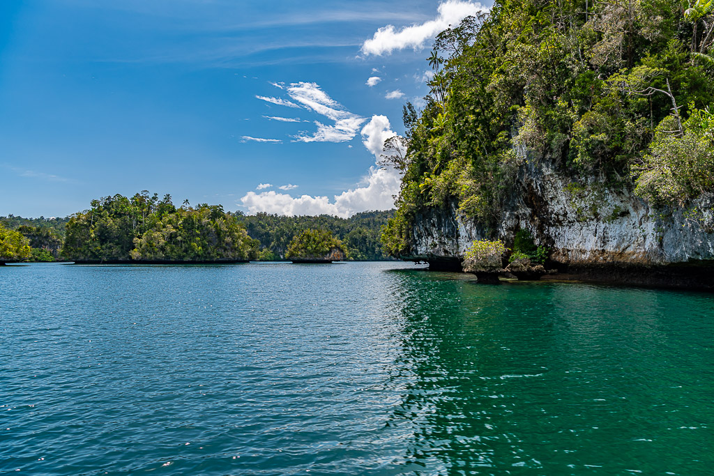 Cliff with overhanging vegetation and distant islets on blue water, Waigeo, Raja Ampat, Indonesia