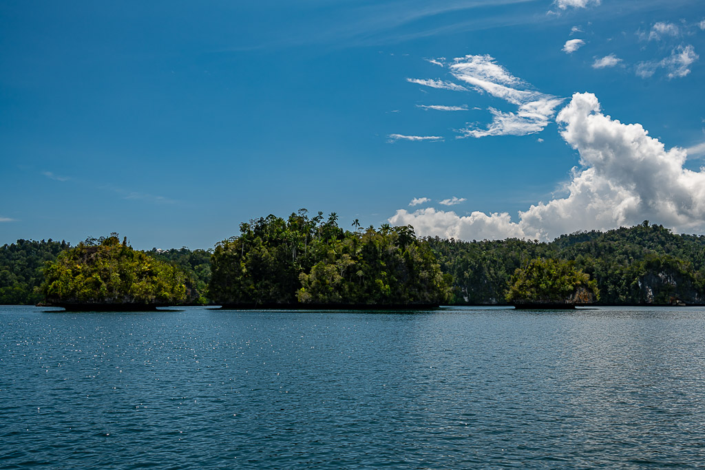 Line of low jungle islets in front of a forested coast with wispy clouds, Waigeo, Raja Ampat, Indonesia