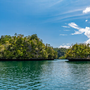Two forested islets on calm blue water under wispy clouds, Waigeo, Raja Ampat, Indonesia