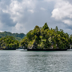 Tall forested islet with a smaller one in front of hills under grey sky, Waigeo, Raja Ampat, Indonesia