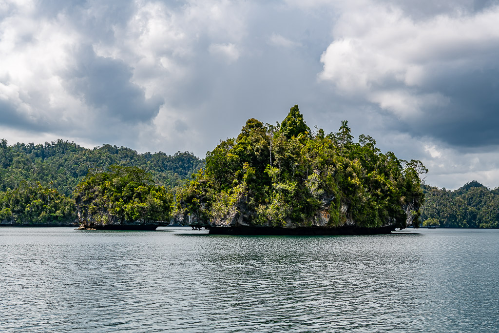 Tall forested islet with a smaller one in front of hills under grey sky, Waigeo, Raja Ampat, Indonesia
