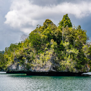 Pointed karst islet with jagged peaks under cloudy sky, Waigeo, Raja Ampat, Indonesia