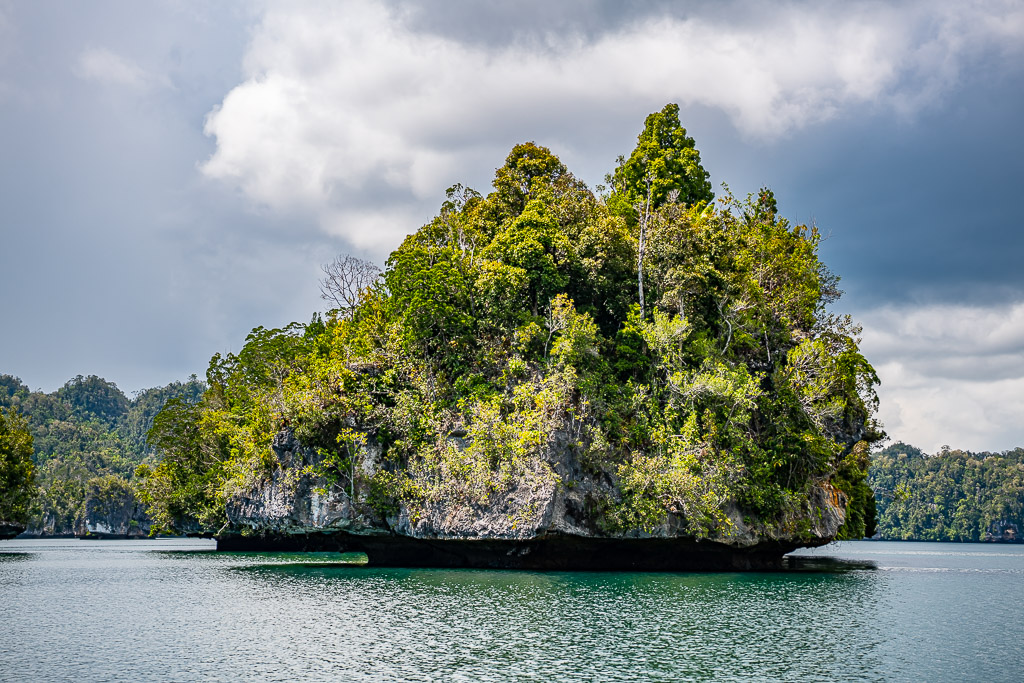 Pointed karst islet with jagged peaks under cloudy sky, Waigeo, Raja Ampat, Indonesia