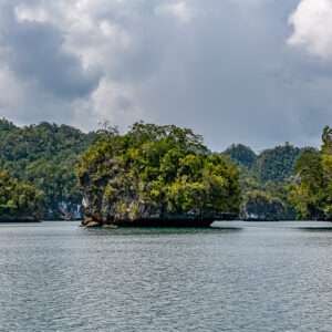 Undercut islet between headlands on calm grey water, Waigeo, Raja Ampat, Indonesia