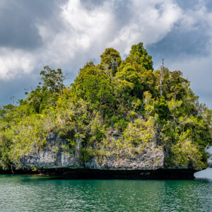 Jungle islet with dead trees and steep limestone sides, close view, Waigeo, Raja Ampat, Indonesia