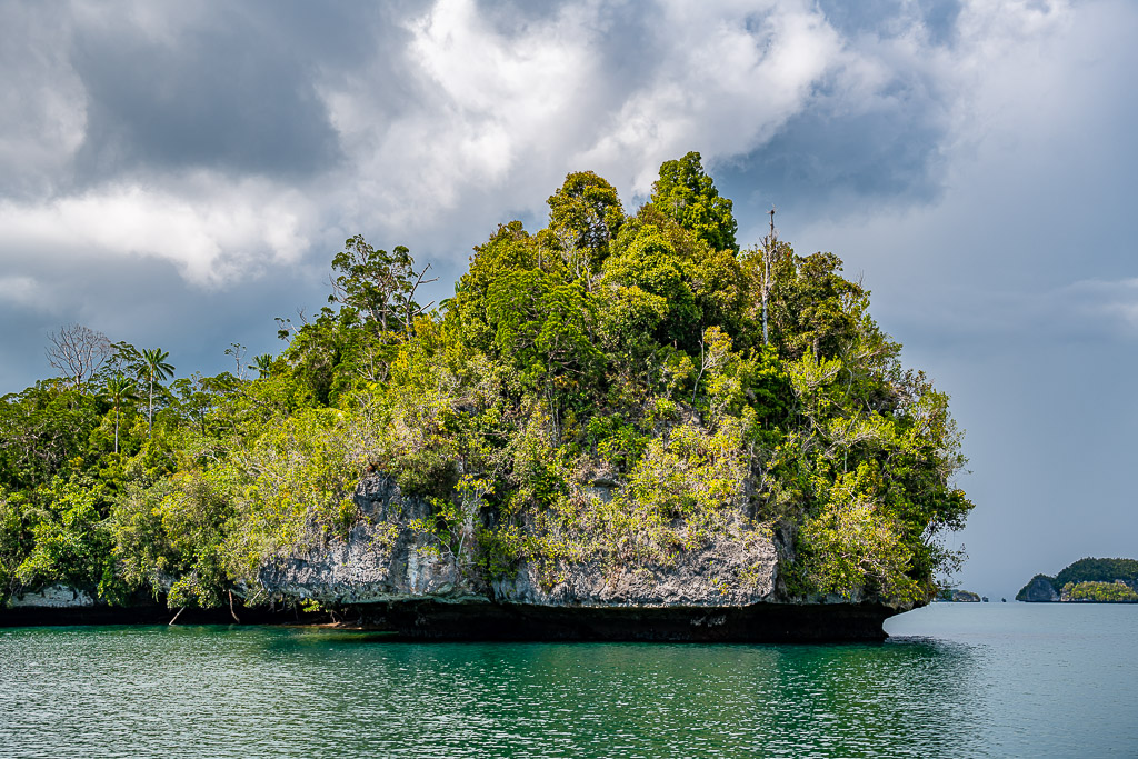 Jungle islet with dead trees and steep limestone sides, close view, Waigeo, Raja Ampat, Indonesia