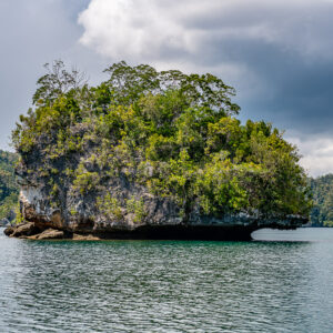Rocky islet with eroded base and dense trees in stormy light, Waigeo, Raja Ampat, Indonesia