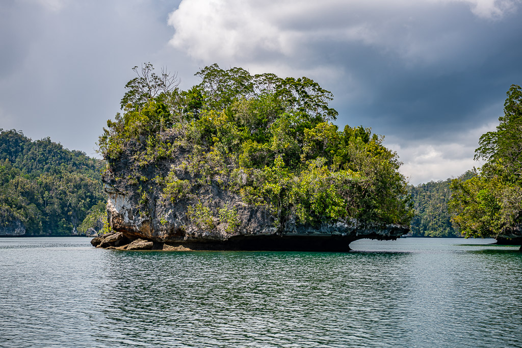 Rocky islet with eroded base and dense trees in stormy light, Waigeo, Raja Ampat, Indonesia