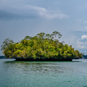 Low flat-topped islet with tall trees under a rainy sky, Waigeo, Raja Ampat, Indonesia