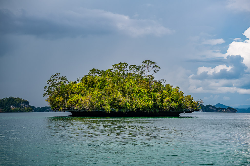 Low flat-topped islet with tall trees under a rainy sky, Waigeo, Raja Ampat, Indonesia