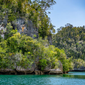 Vue verticale d’une falaise calcaire boisée au-dessus d’une eau turquoise, Waigeo, Raja Ampat, Indonésie