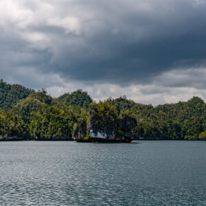 Forested coast with a small rock pinnacle under dark clouds, Waigeo, Raja Ampat, Indonesia