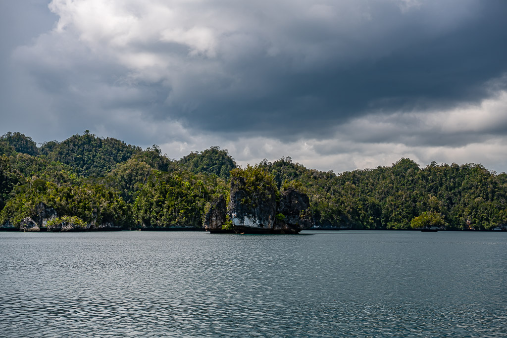 Forested coast with a small rock pinnacle under dark clouds, Waigeo, Raja Ampat, Indonesia