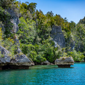 Blocs calcaires et falaise luxuriante au bord d’une eau turquoise au soleil, Waigeo, Raja Ampat, Indonésie