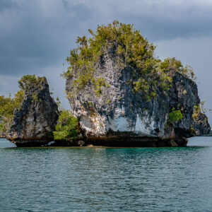 Two jagged rock pinnacles with vegetation under grey sky, Waigeo, Raja Ampat, Indonesia