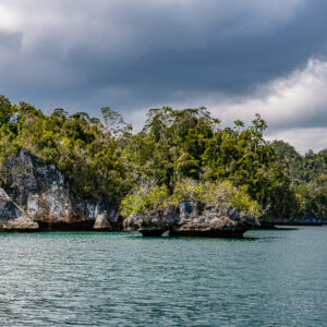 Eroded rocky islets with bushes in front of the coast, overcast sky, Waigeo, Raja Ampat, Indonesia