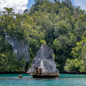 Vue verticale d’un piton calcaire isolé devant une falaise de jungle, Waigeo, Raja Ampat, Indonésie