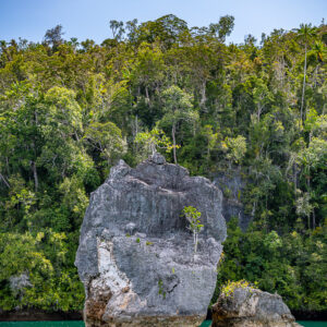 Vue verticale rapprochée d’un piton rocheux gris et d’un bloc en eau peu profonde, Waigeo, Raja Ampat, Indonésie