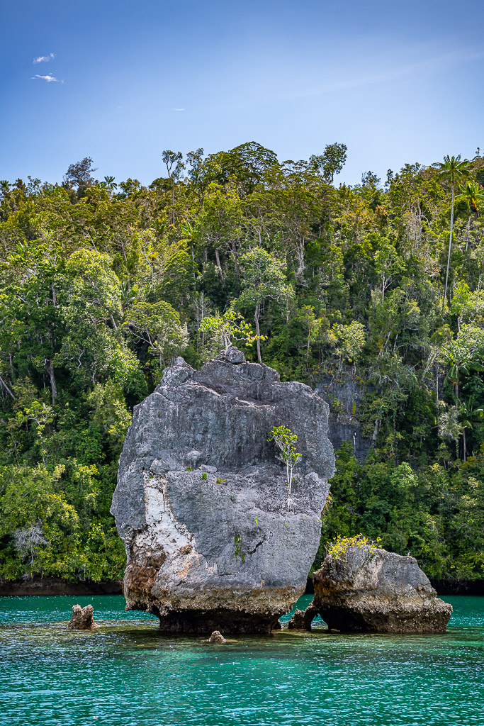 Vue verticale rapprochée d’un piton rocheux gris et d’un bloc en eau peu profonde, Waigeo, Raja Ampat, Indonésie