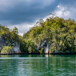 Forested karst coastline with white cliffs and reflections under clouds, Waigeo, Raja Ampat, Indonesia