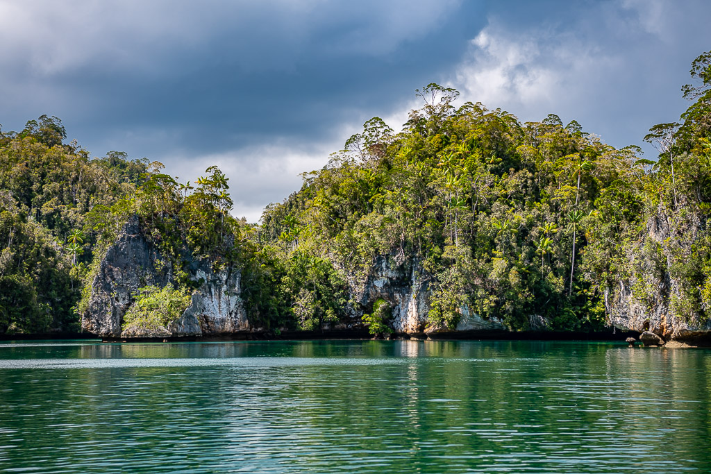 Forested karst coastline with white cliffs and reflections under clouds, Waigeo, Raja Ampat, Indonesia