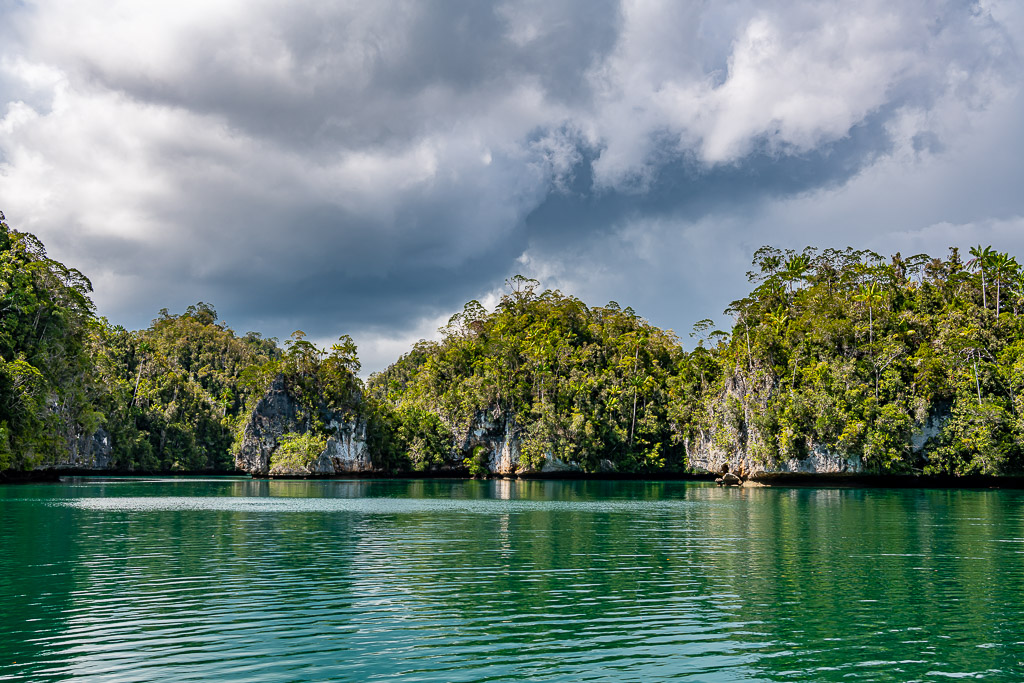 Alignement de falaises karstiques creusées sous de spectaculaires nuages gris, Waigeo, Raja Ampat, Indonésie