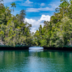 Pale shallow passage between two jungle islands with palm trees, Waigeo, Raja Ampat, Indonesia