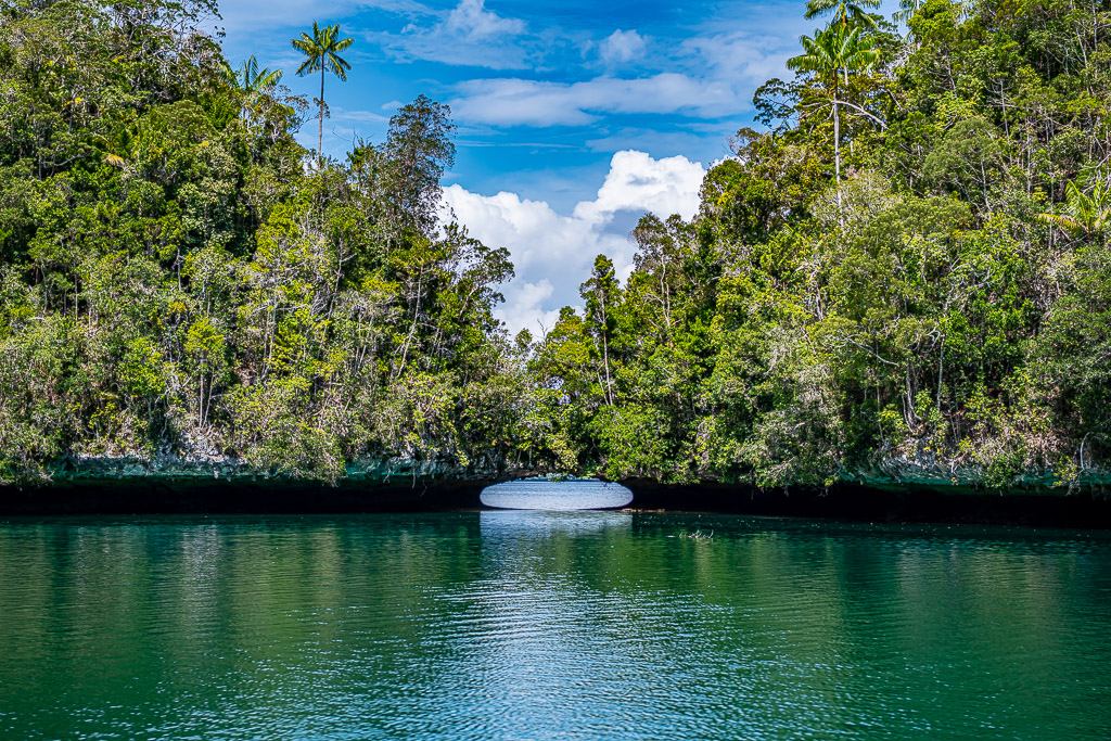 Pale shallow passage between two jungle islands with palm trees, Waigeo, Raja Ampat, Indonesia