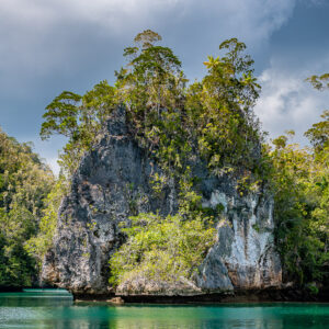Vue verticale d’un îlot calcaire gris boisé sous un ciel nuageux, Waigeo, Raja Ampat, Indonésie