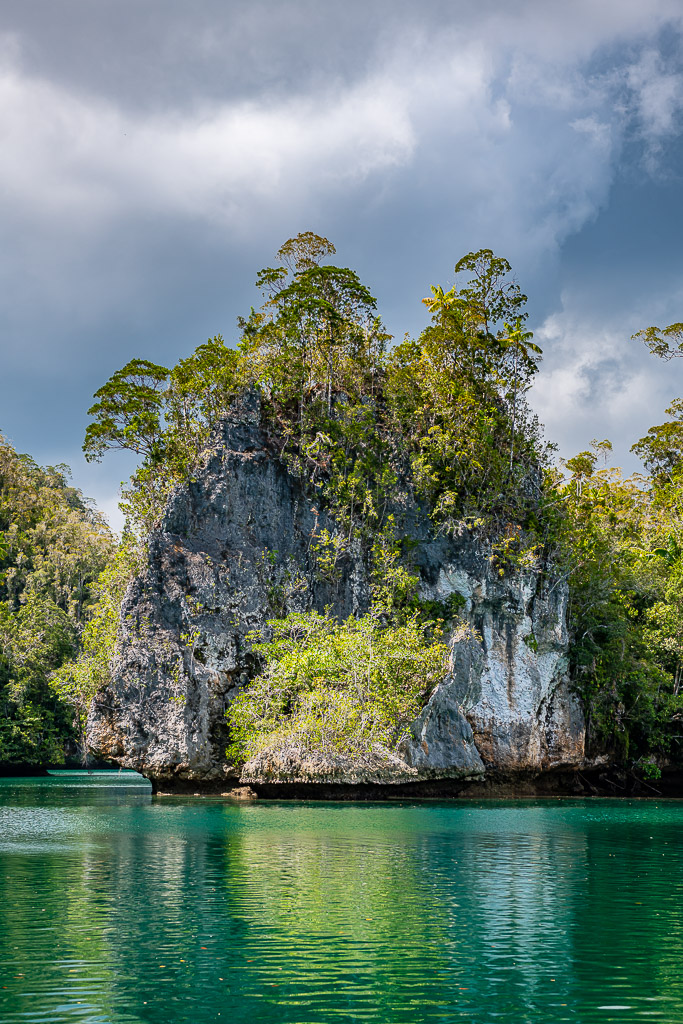 Vue verticale d’un îlot calcaire gris boisé sous un ciel nuageux, Waigeo, Raja Ampat, Indonésie
